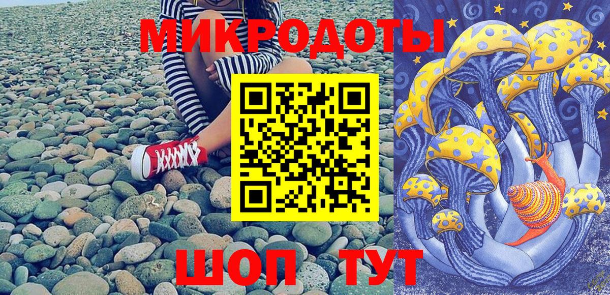 Галлюциногенные грибы Psilocybine cubensis  как найти   Богородицк  Псилоцибиновые грибы Magic Shrooms 
