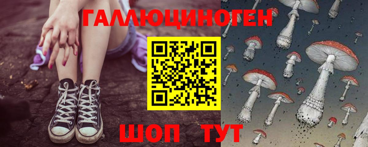 Псилоцибиновые грибы GOLDEN TEACHER Богородицк