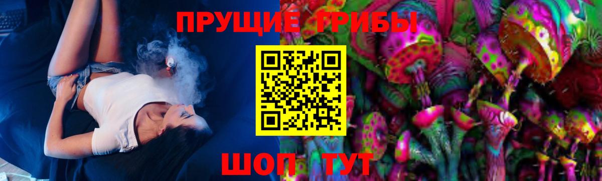 как найти закладки  Галлюциногенные грибы MAGIC MUSHROOMS  Вход с VPN  Псилоцибиновые грибы Magic Shrooms  Богородицк 